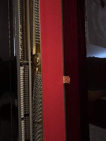 Musiqi alətləri: Piano, Akustik — 10