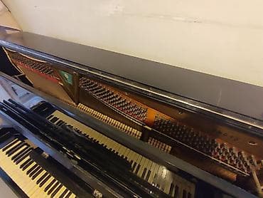 lora piano: Piano, Akustik, İşlənmiş, Ünvandan götürmə, Ödənişli çatdırılma — 3