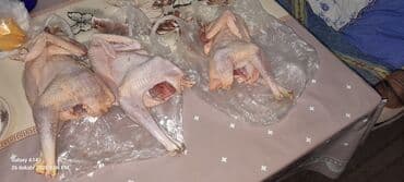 Təmiz yeni kəsilmiş kənd fərələri və beçələri ÖZ məhsulumuzdur say