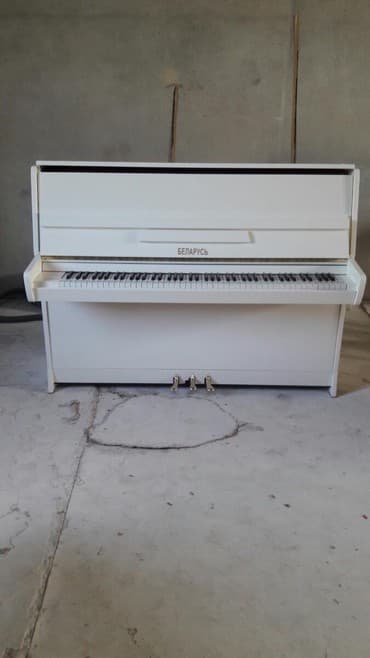 geyer пианино: Pianino Geyer Almaniya stehsalı. əla vəziyyədə. Cadirilma və köklənmə — 3