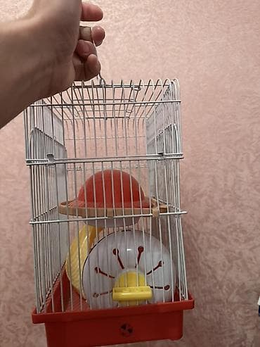 Yataqlar: Sağlam veziyyetdedir lakin şekilde işaretlenen yer qırıqdır oda heç — 3