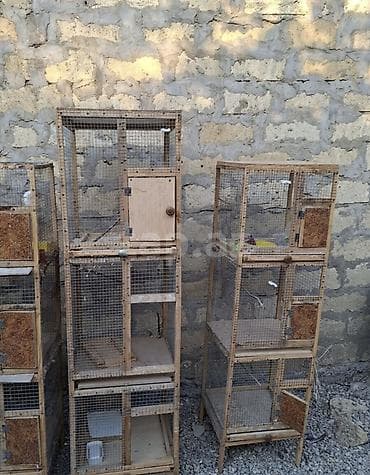 qefes boyuk: Quşlar üçün çoxbölməli qəfəs vitrinləri - Material: taxta karkas və — 1
