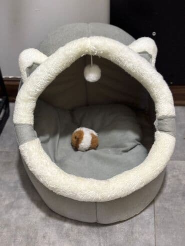 azərbaycanca pişik adları: 11ailıq — 3