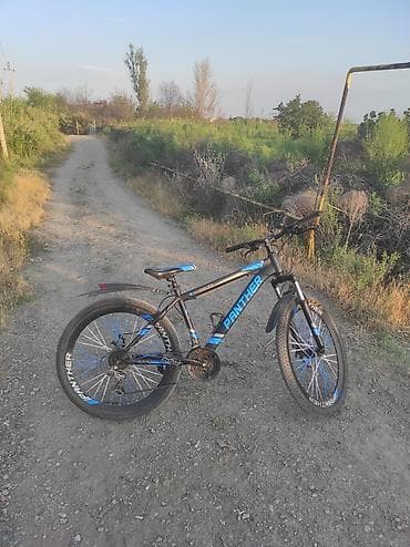 velosiped disk: Panther dağ velosipedi - Çərçivə: yüngül alaşımlı material, hardtail — 1
