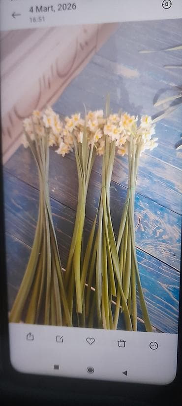 nərgiz gülləri: Məhsul: Ətirli nərgiz dəstələri (ağ ləçəklər, sarı mərkəz) Təsvir: - — 2