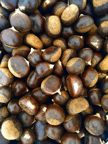 Super dadlı şabalıd gəlib 🌰 Çatdırılma - ( minimum 2 kg ) 🚚