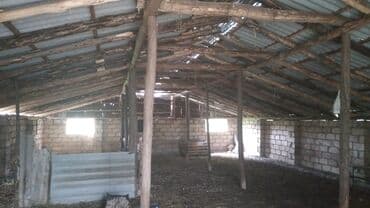 torpaq satisi saytlari: 82 sot, Kənd təsərrüfatı, Kupça (Çıxarış) — 7