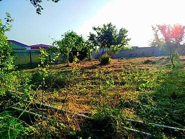 şabran torpaq satılır: 6 sot, Tikinti, Mülkiyyətçi, Kupça (Çıxarış) — 5