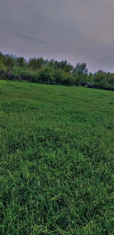 аренда земли под шиномонтаж: 10 соток Для сельского хозяйства, Газ, Электричество, Водопровод — 2