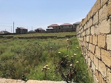 Torpaq: 4 sot, Tikinti — 3