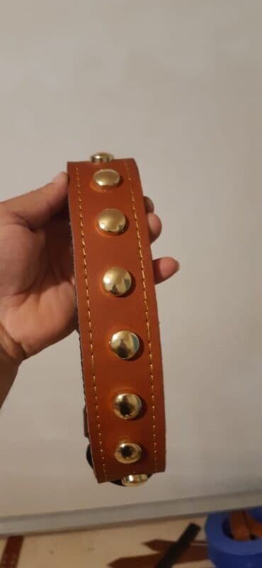 it tasmasi: İt remenləri satılır müxtəlif növdə, razmerdə remen, ağızlıq, gəzdirmə — 3