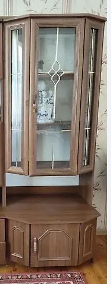 tumbucka: Qonaq otağı üçün tək skaf və paltar uçun suyurməli tumbuçka ikisi bir — 2