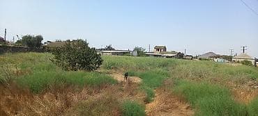 Qarajlar: 50 sot, Mülkiyyətçi, Kupça (Çıxarış) — 1