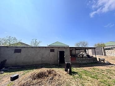 туркян баку земля цена: 11 соток, Для сельского хозяйства, Собственник, Бялядия (муниципалитет) — 3