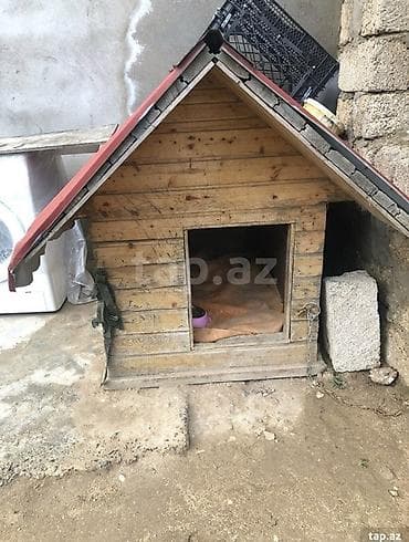 i̇t yuvası: Taxta it evi - Material: qalın taxta karkas, ikiqat qırmızı — 2