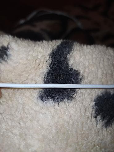 ucuz tefonlar: İşlənmiş Simli Qulaqcıqlar, Apple, rəng - Ağ — 2