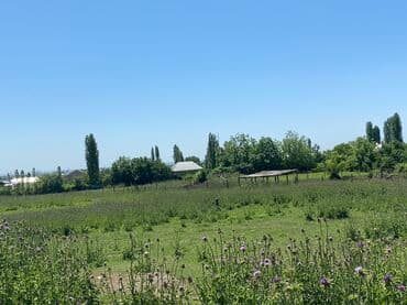 xudatda torpaq: Ağsu Rayon. Pirhəsənlı kəndi məscdin arxasi uşaq bağçası yaninda — 4