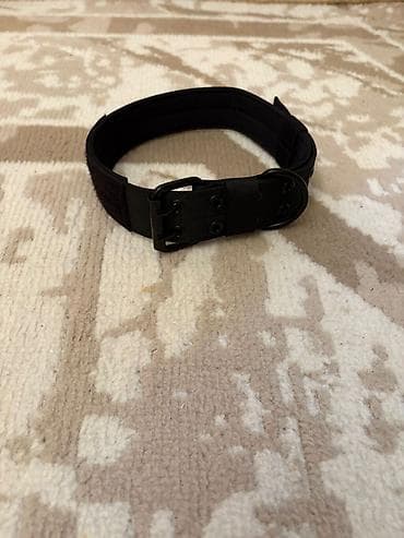 Möhkəm taktiki it boyunluğu – qara rəng - Material: qalın, davamlı lalafo.az -da Möhkəm taktiki it boyunluğu – qara rəng - Material: qalın, davamlı