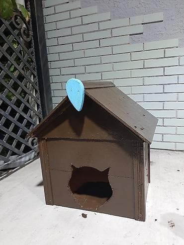sfinks pişik: Taxta pişik evi - Material: Bərk taxtadan hazırlanıb, üzəri — 1