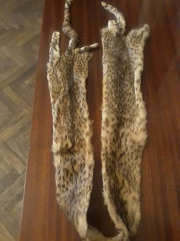 Yorğanlar, adyallar: Məhsul: Nöqtəli naxışlı təbii rəngdə xəz zolaqları (2 ədəd) Təsvir: - — 1