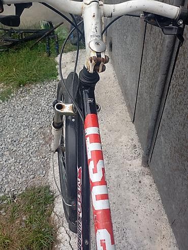 29 velo: Şəhər/trek tipli velosiped - Çərçivə: alüminium ərintisi, 26" təkər — 6