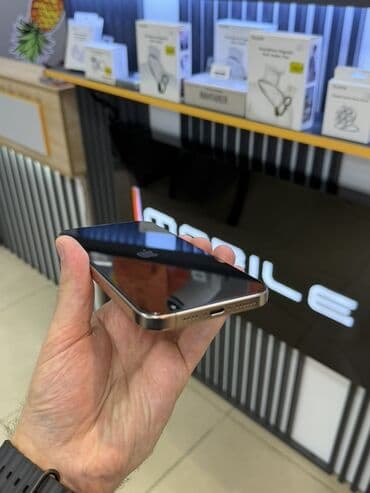 Техника для кухни: IPhone 16 Pro Max, 256 ГБ, Desert Titanium — 9