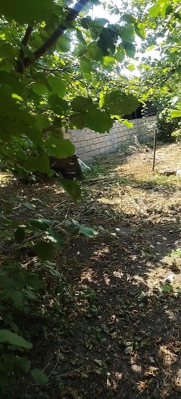 28 sot, Kənd təsərrüfatı, Mülkiyyətçi, Kupça (Çıxarış)