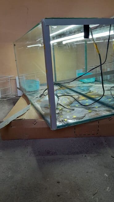 qizil baliq satisi: Akvaryum təxmini uzunluq 90–100 sm, hündürlük 35–40 sm, dərinlik 30–35 — 3