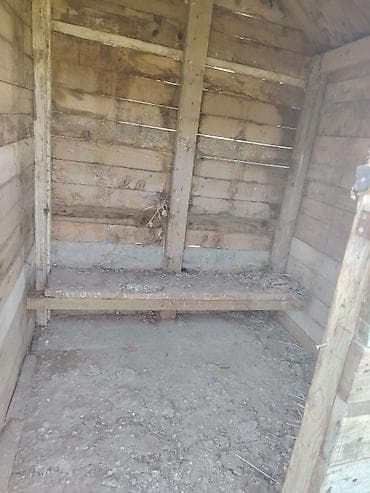 heyvan evleri: Taxta toyuq/kümes evi - Material: qalın taxta salam qiyməti — 1