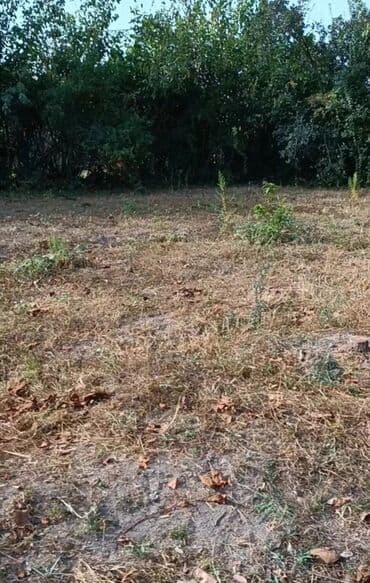 Qarajlar: 25 sot, Biznes üçün, Mülkiyyətçi, Bələdiyyə — 5