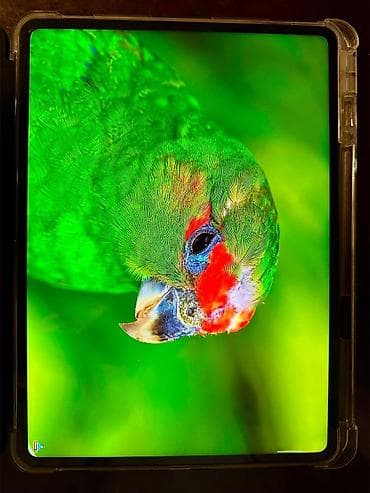 Noutbuk və netbuklar: 🔥 İPAD M4 və M5 qatili OnePlus Pad 3 –Güclü oyun planşeti 🔥 İstənilən — 5