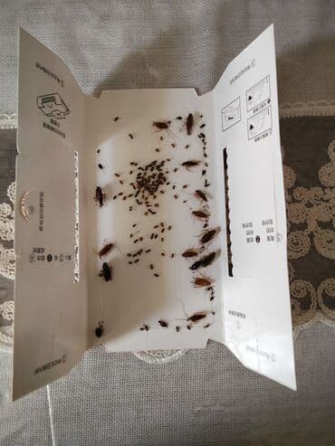 yapışqan oboy: Уничтожитель насекомых — 1