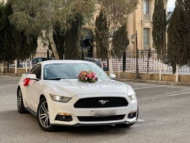 Ford mustang 2018 toy nişan və digər tədbirlər üçün sifariş edə