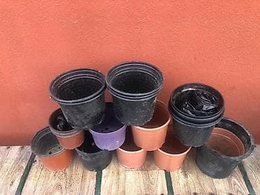 Digər bitkilər: Plastik gül qabları dəsti - Müxtəlif ölçü və həcmlər: kiçikdən orta — 1