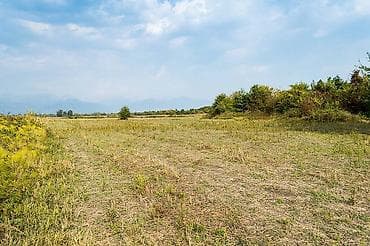 qubada torpag: 237 sot, Kənd təsərrüfatı, Mülkiyyətçi, Kupça (Çıxarış) — 7