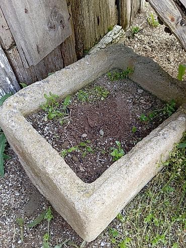 agac gulleri: Məhsul: Beton bağ güldanı / dibçəyi Təsvir: - Kvadrat formalı, qalın — 1