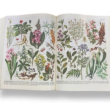 познание мира 2 класс мсо 2: Məhsul: “Сельскохозяйственный энциклопедический словарь” (Kənd — 3