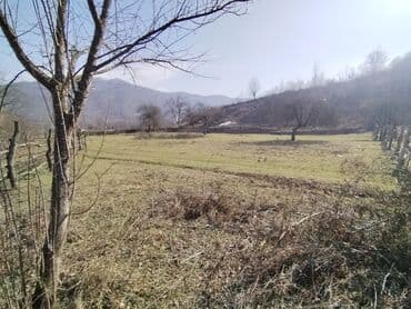 kirayə evlər gəncə 2023: 64 sot, Tikinti, Mülkiyyətçi, Bələdiyyə — 2