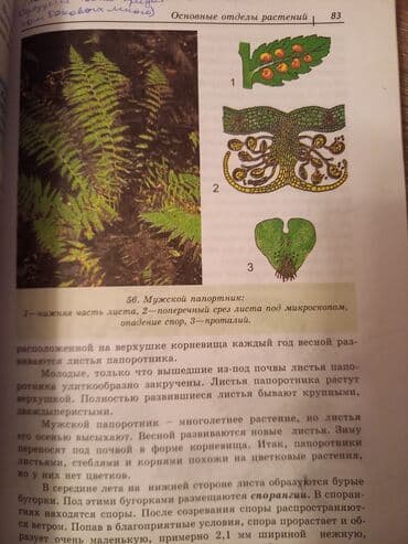 русский язык 7 класс e derslik: Биология 7 класс, Самовывоз — 3