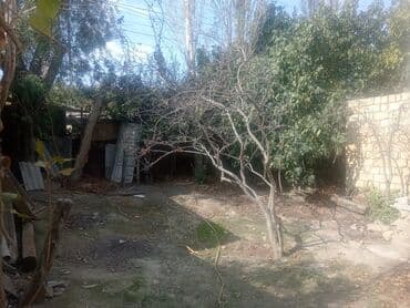 ehmedlide kreditle satilan heyet evleri: Biləcəri 3 otaqlı, 60 kv. m, Kredit yoxdur, Orta təmir — 13