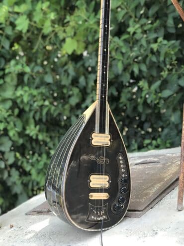 Musiqi alətləri: Türk sazı. Orginal Necerman mikrafonlar, frencer üstünə yığılıb, zbor — 1