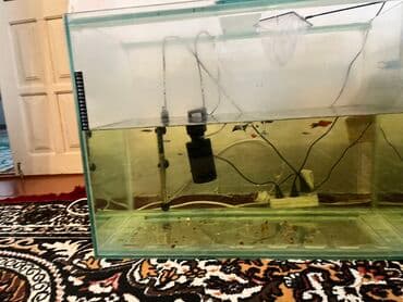 купить аквариум в баку: Akvaryum komplekti - Şüşə akvaryum (böyük ölçülü, ön şüşədə səviyyə — 2