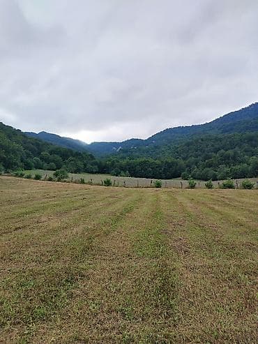 130 sot, Biznes üçün, Mülkiyyətçi, Kupça (Çıxarış)