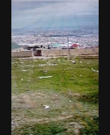 binegedi: 10 sot, Tikinti, Mülkiyyətçi, Kupça (Çıxarış) — 3