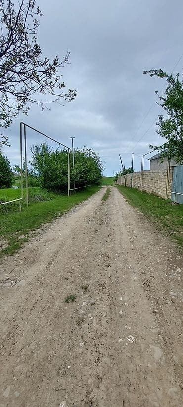 torpag satisi: 20 sot, Tikinti, Mülkiyyətçi, Kupça (Çıxarış) — 9