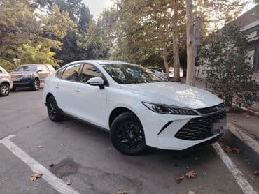 BYD Destroyer 05: 1.5 l | 9000 km Sedan