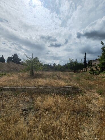 binə emlak: 17 sot, Tikinti, Maklerlər narahat etməsin, Kupça (Çıxarış) — 10