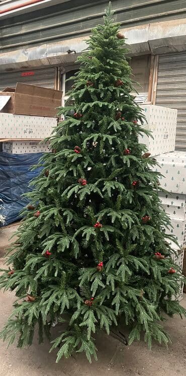 yolka ucuz: 150-100azn 180-150azn 210-200azn 240-250azn 270-360azn 300-470azn — 1