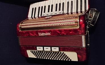 Saz: Akustik Akkordeon, Yeni, Pulsuz çatdırılma — 3