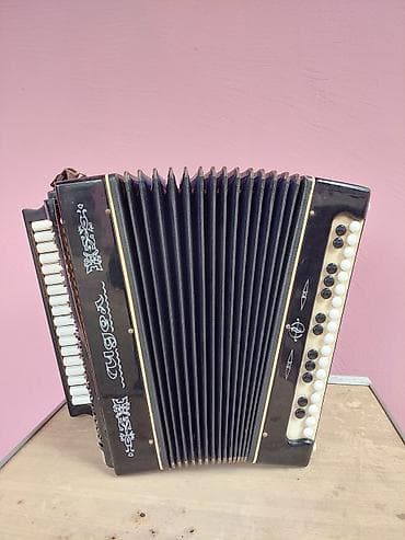 Akkordeonlar: Akustik Akkordeon — 2